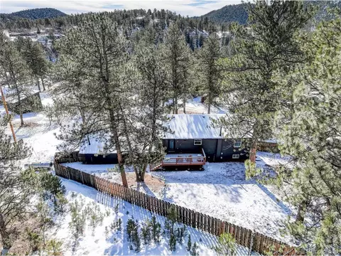 95 Fitzsimmons Rd, Bailey, CO 80421 photo 30