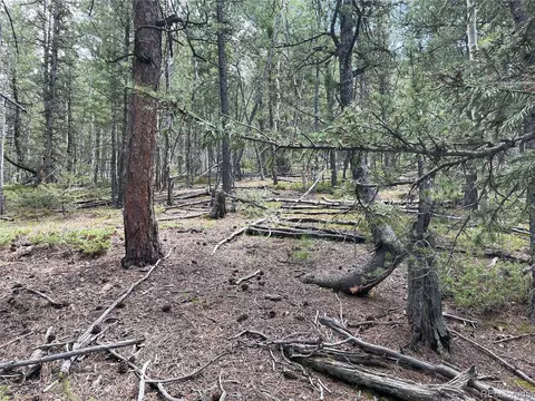 26 Hemitite Ln, Divide, CO 80814 photo 13
