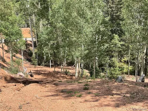 26 Hemitite Ln, Divide, CO 80814 photo 4