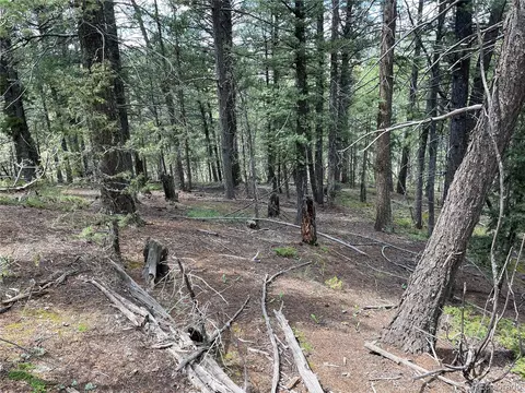 26 Hemitite Ln, Divide, CO 80814 photo 3