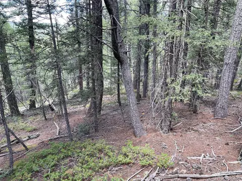 26 Hemitite Ln, Divide, CO 80814 photo 9