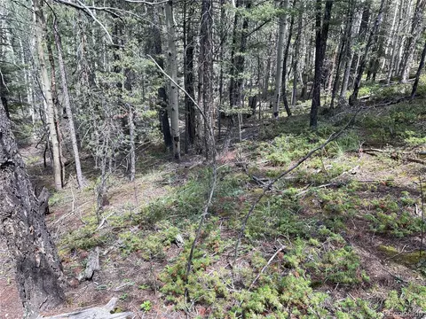 26 Hemitite Ln, Divide, CO 80814 photo 11