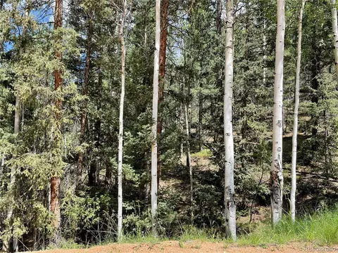 26 Hemitite Ln, Divide, CO 80814 photo 8