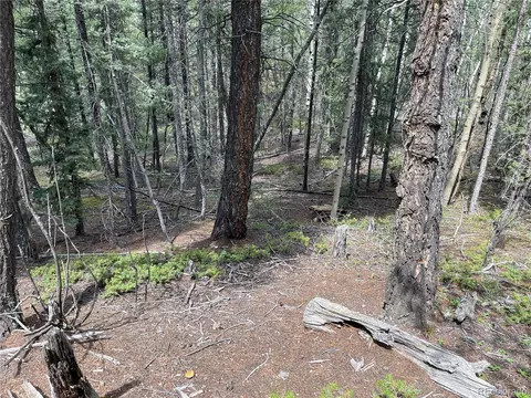 26 Hemitite Ln, Divide, CO 80814 photo 7