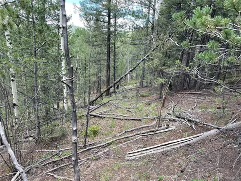 26 Hemitite Ln, Divide, CO 80814 photo 10