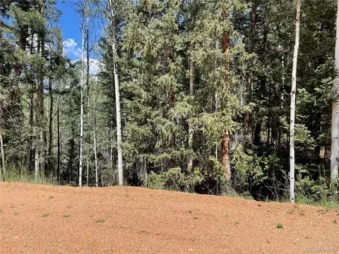 26 Hemitite Ln, Divide, CO 80814 photo 6