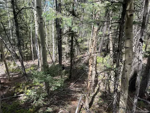 26 Hemitite Ln, Divide, CO 80814 photo 12