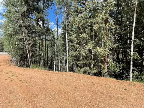 26 Hemitite Ln, Divide, CO 80814 photo 5