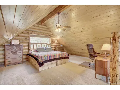 706 Bonell Dr, Fairplay, CO 80440 photo 23
