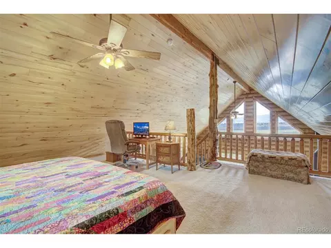706 Bonell Dr, Fairplay, CO 80440 photo 19