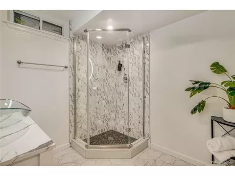 3550 Eudora St, Denver, CO 80207 photo 34