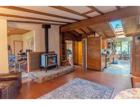 220 Aspen Ln, Bailey, CO 80421 photo 9
