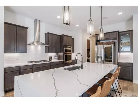 6458 Stable View St, Castle Pines, CO 80108 photo 13