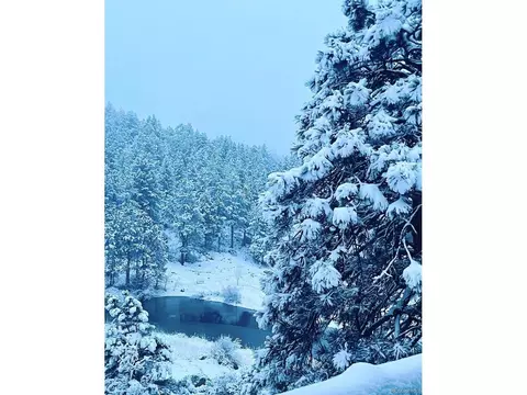 180 Wisp Creek Dr, Bailey, CO 80421 photo 19