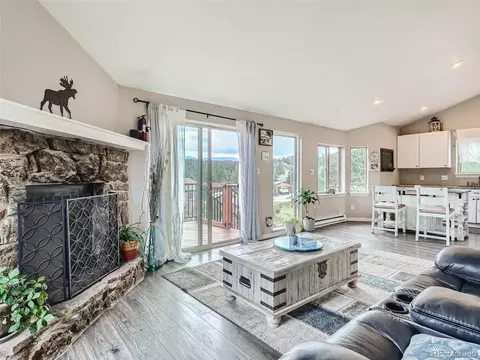 180 Wisp Creek Dr, Bailey, CO 80421 photo 4