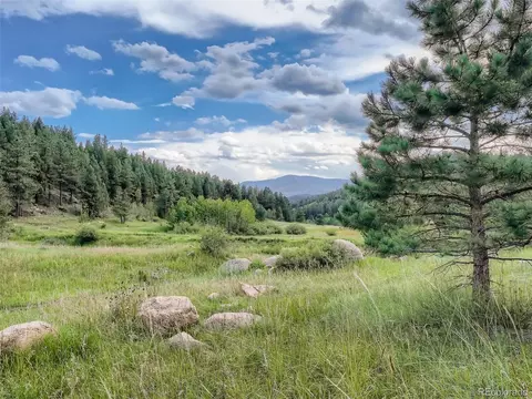 180 Wisp Creek Dr, Bailey, CO 80421 photo 16