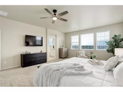 7099 E 123rd Pl, Thornton, CO 80602 photo 21