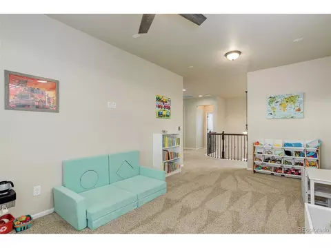 7099 E 123rd Pl, Thornton, CO 80602 photo 28