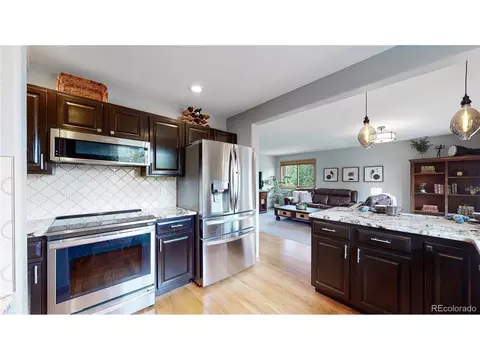 10846 Elder Ave, Conifer, CO 80433 photo 10