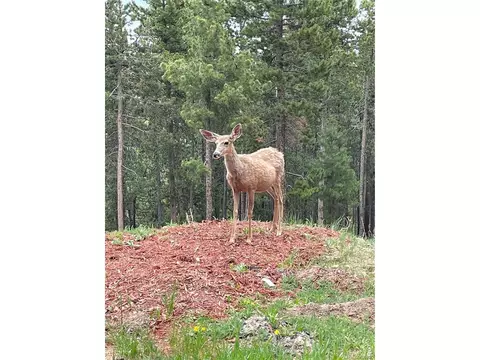 352 Apache Rd, Evergreen, CO 80439 photo 45