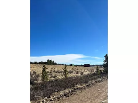 247 Thickspike, Fairplay, CO 80440 photo 8