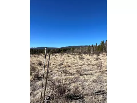 247 Thickspike, Fairplay, CO 80440 photo 9