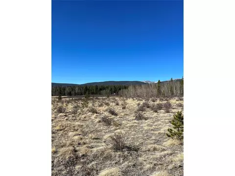 247 Thickspike, Fairplay, CO 80440 photo 6