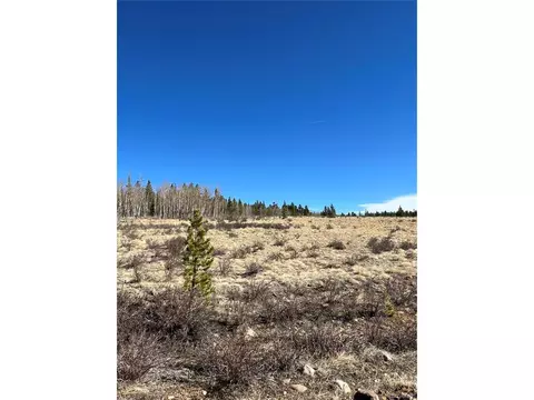 247 Thickspike, Fairplay, CO 80440 photo 7