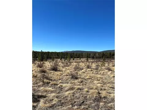 247 Thickspike, Fairplay, CO 80440 photo 5