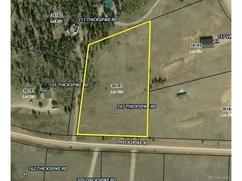 247 Thickspike, Fairplay, CO 80440 photo 10