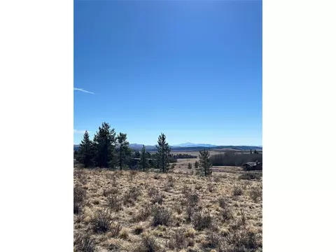 247 Thickspike, Fairplay, CO 80440 photo 4