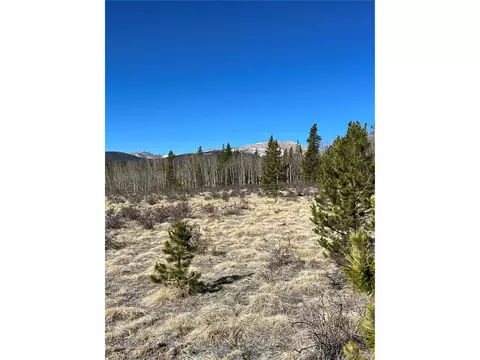 247 Thickspike, Fairplay, CO 80440