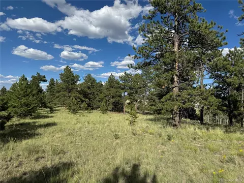 833 Angus Cir, Hartsel, CO 80449