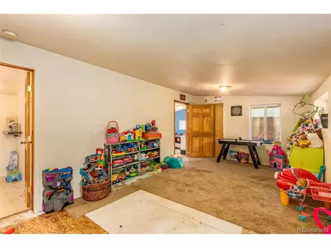 46 Gray St, Bailey, CO 80421 photo 19