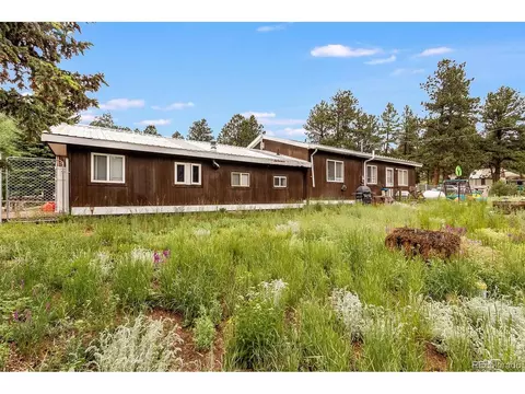 46 Gray St, Bailey, CO 80421 photo 24