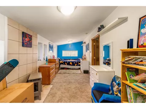 46 Gray St, Bailey, CO 80421 photo 22