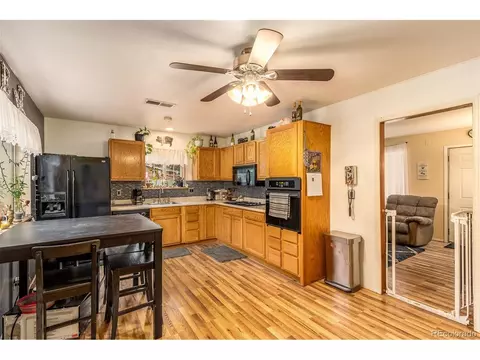 46 Gray St, Bailey, CO 80421 photo 4