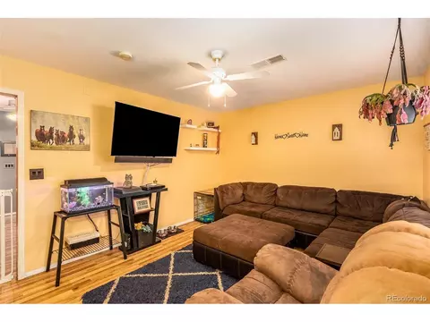 46 Gray St, Bailey, CO 80421 photo 8