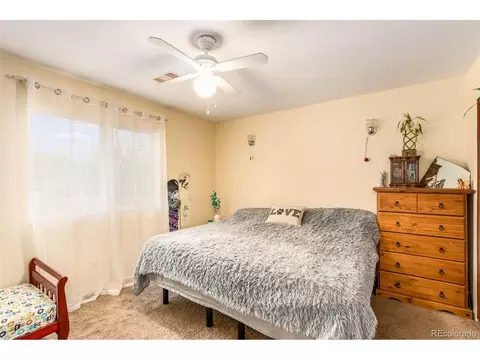 46 Gray St, Bailey, CO 80421 photo 13