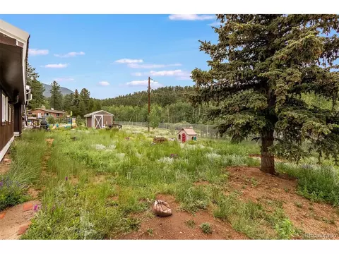 46 Gray St, Bailey, CO 80421 photo 25