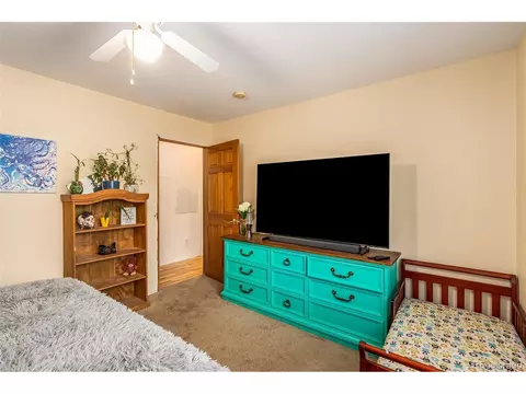 46 Gray St, Bailey, CO 80421 photo 15