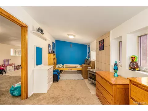 46 Gray St, Bailey, CO 80421 photo 21