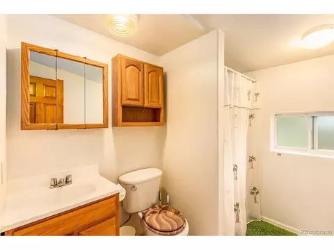 46 Gray St, Bailey, CO 80421 photo 17