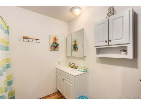 46 Gray St, Bailey, CO 80421 photo 12