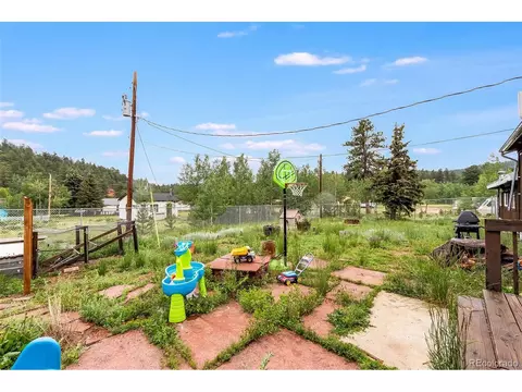 46 Gray St, Bailey, CO 80421 photo 23