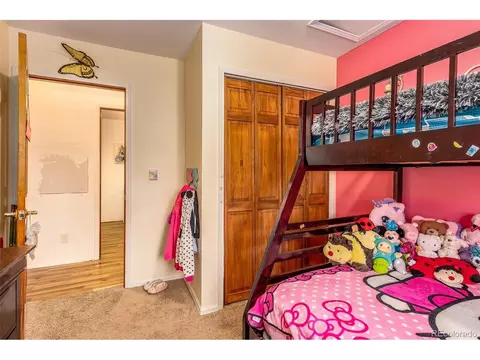 46 Gray St, Bailey, CO 80421 photo 11