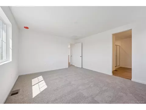 18980 E 96th Pl, Commerce City, CO 80022 photo 13