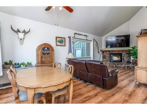 297 Homestead Rd, Bailey, CO 80421 photo 5