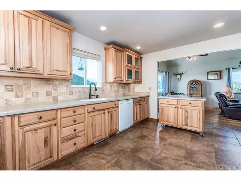 297 Homestead Rd, Bailey, CO 80421 photo 13