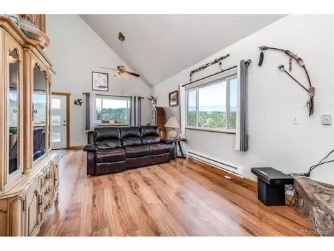 297 Homestead Rd, Bailey, CO 80421 photo 9